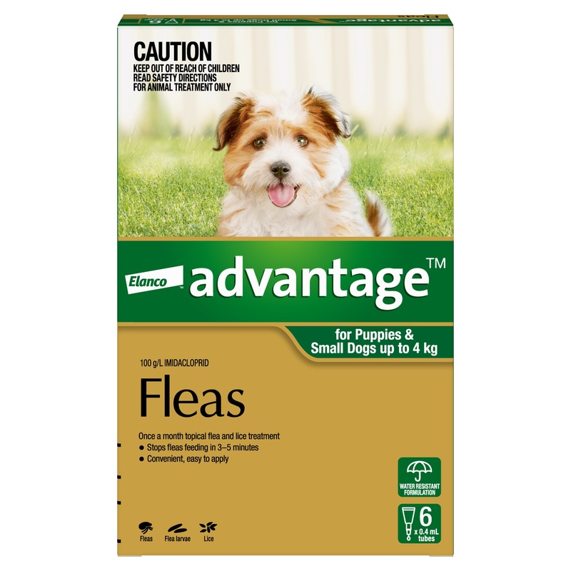 Advantage Small Dog up to 4kg|1 Pack|4 Pack|6 Pack