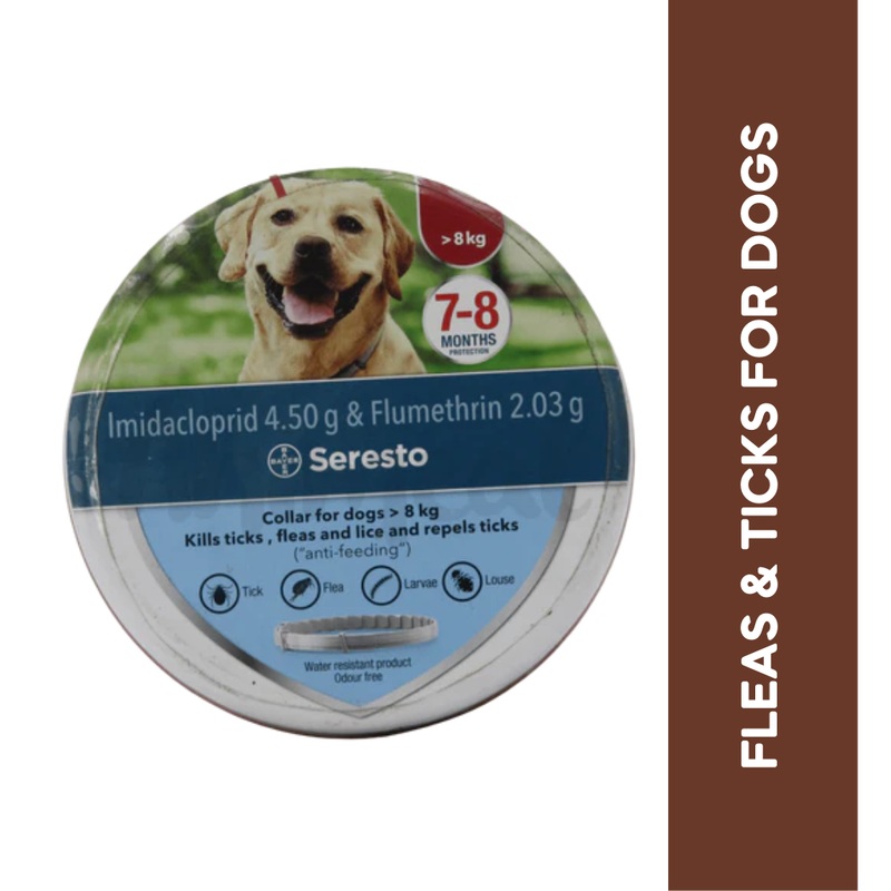 SERESTO COLLAR (MORE THAN 8KG )