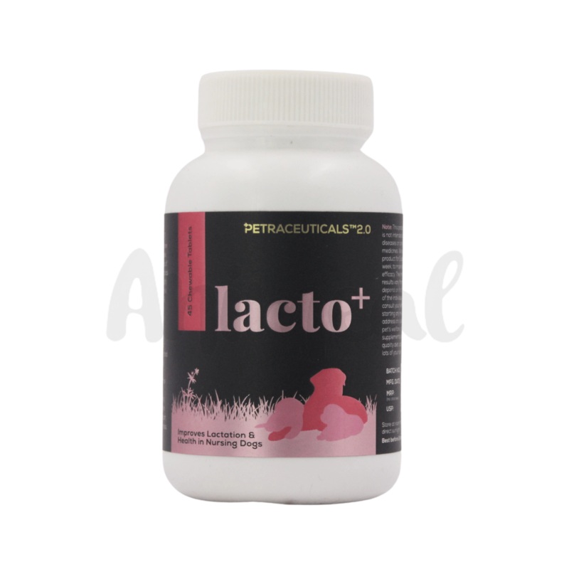 LACTO PLUS TABLET (S)