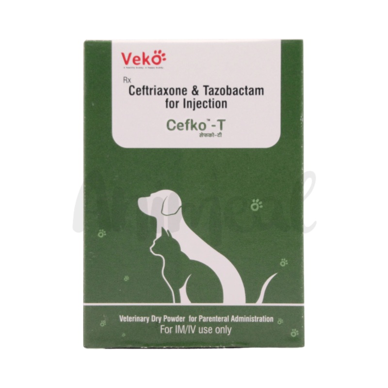 CEFKO T 562.5MG INJ