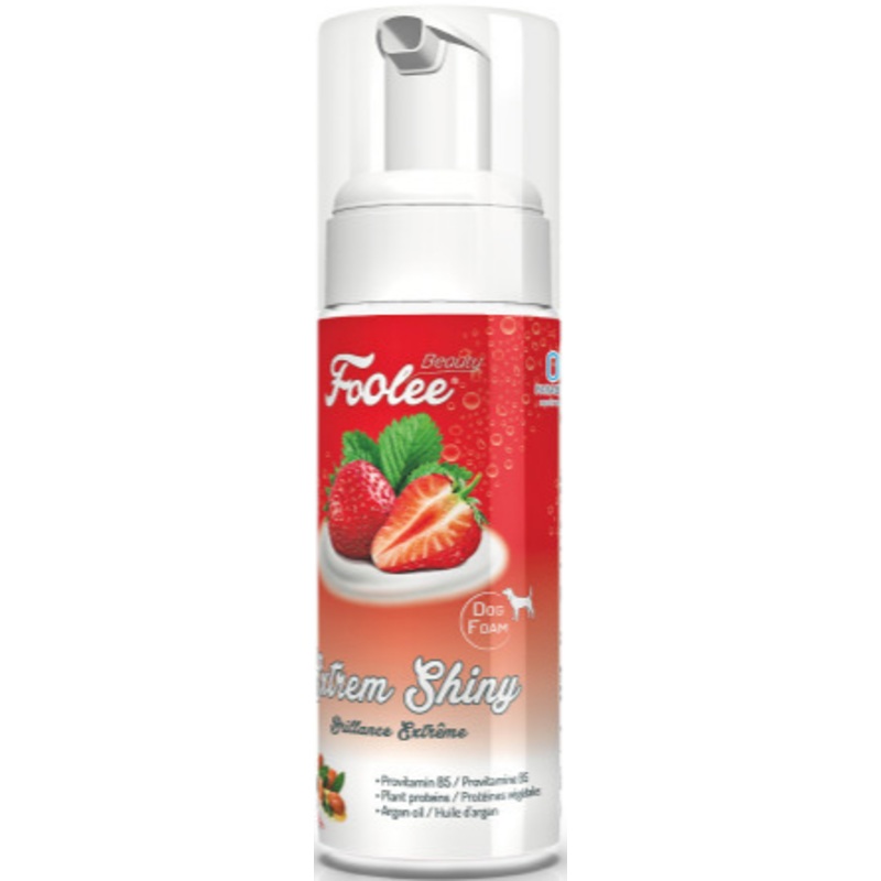 EXTREM SHINY RINCE FREE FOAM|150ml
