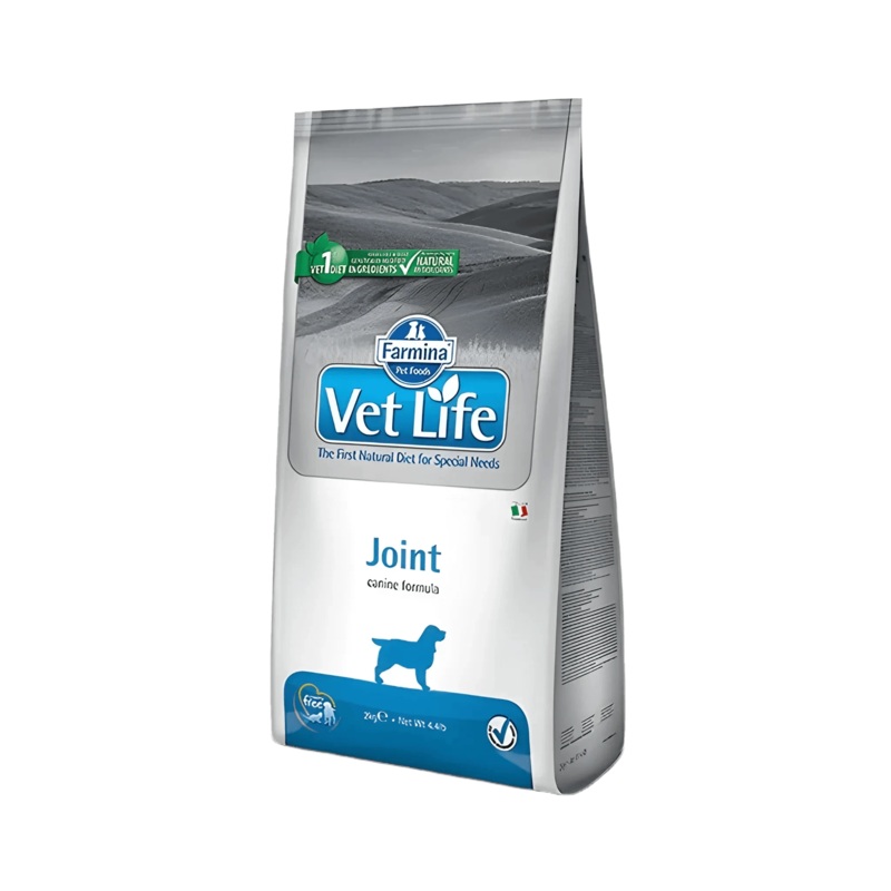 VETLIFE JOINT DOG DRY FOOD (L)