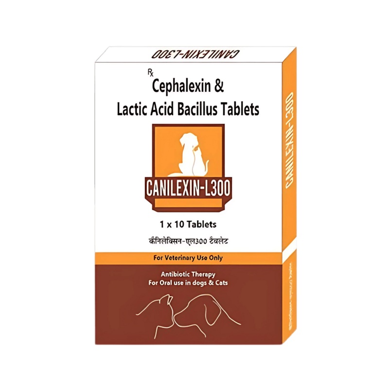 CANILEXIN – L 300MG TABLET