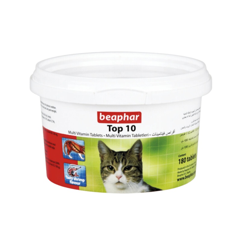 TOP 10 CAT TABLET