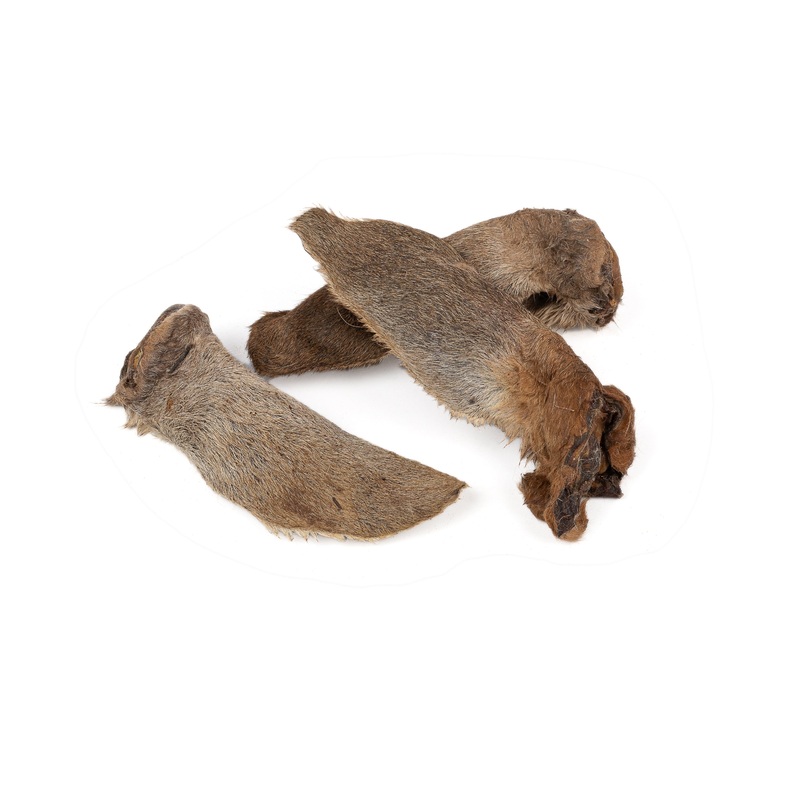 Kangaroo Ears with Hair On|Single