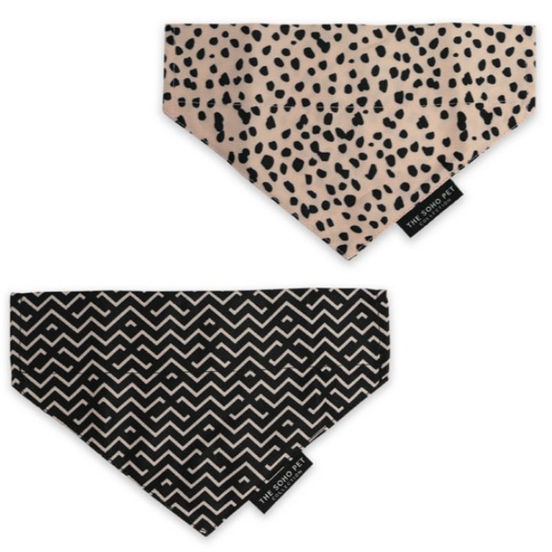 Dalmation And Zig Zag Bandana