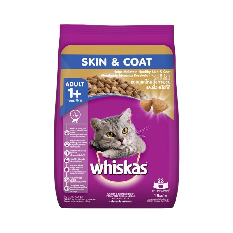 WHISKAS ADULT SKIN & COAT DRY FOOD (M)