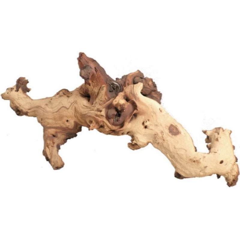 MOPANI WOOD per kg|’+50cm