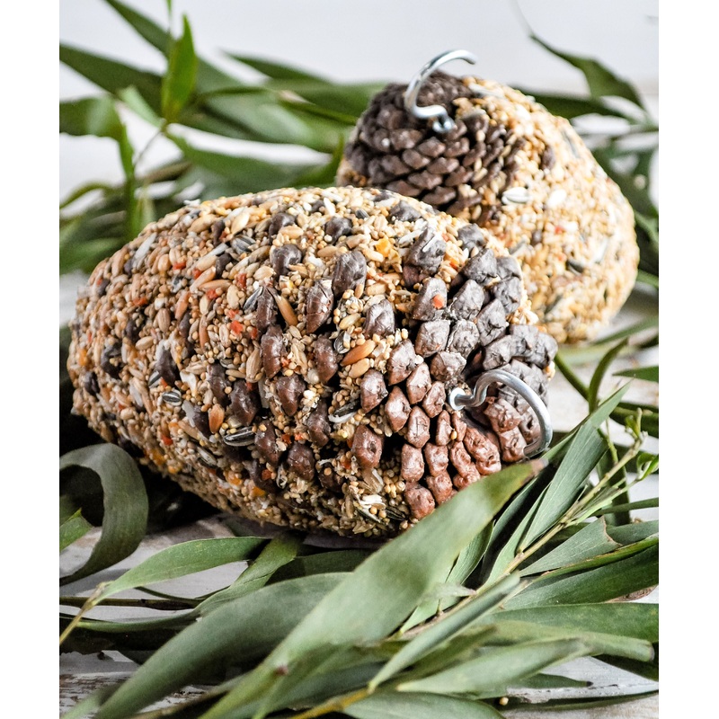 Pinecone treat|Small|Medium|Large
