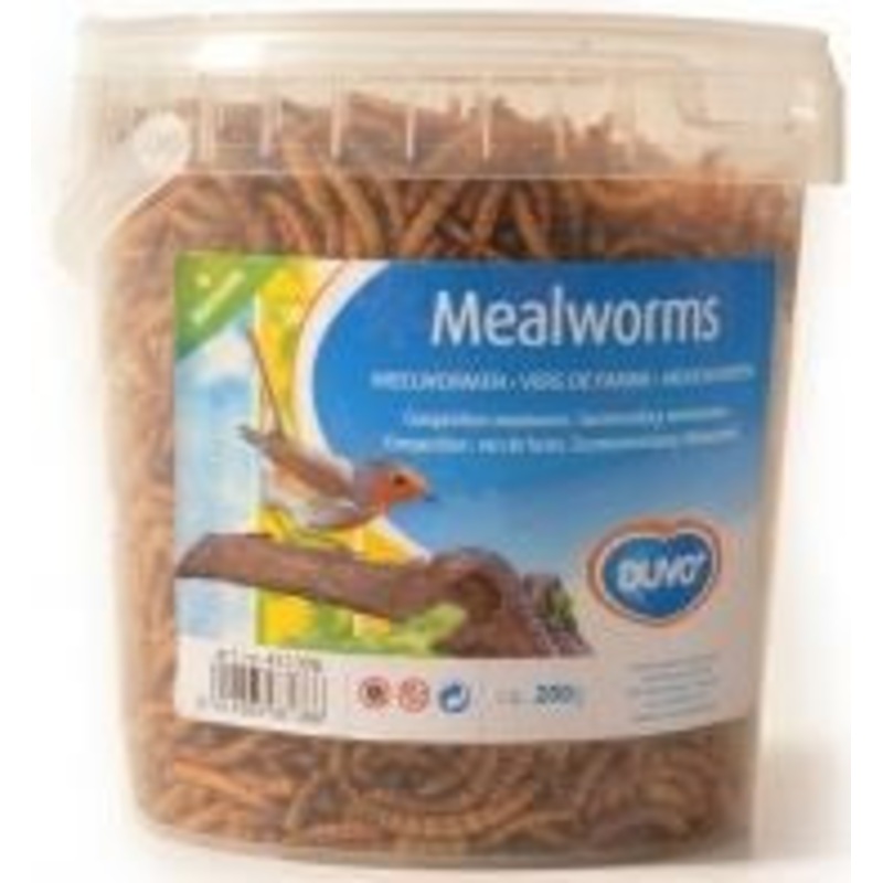 MEAL WORMS BUCKET 1L 200G|200gr