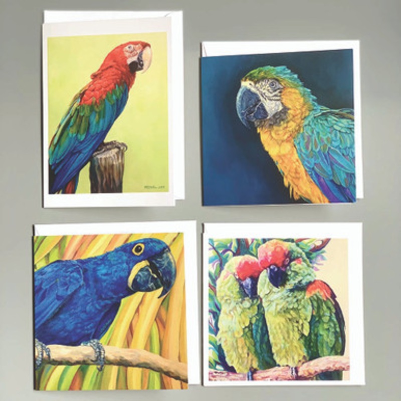 Magnificent Macaws Greeting Cards Pack of 4 Assorted
