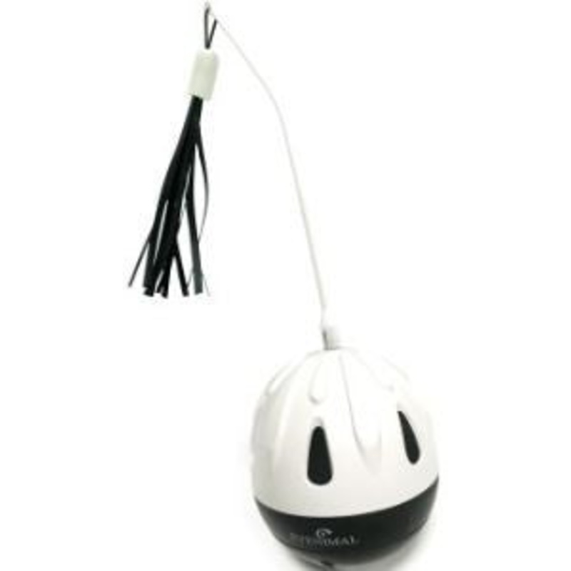 EYENIMAL SPIN AND TRAT BALL| 7.5 x 24cm