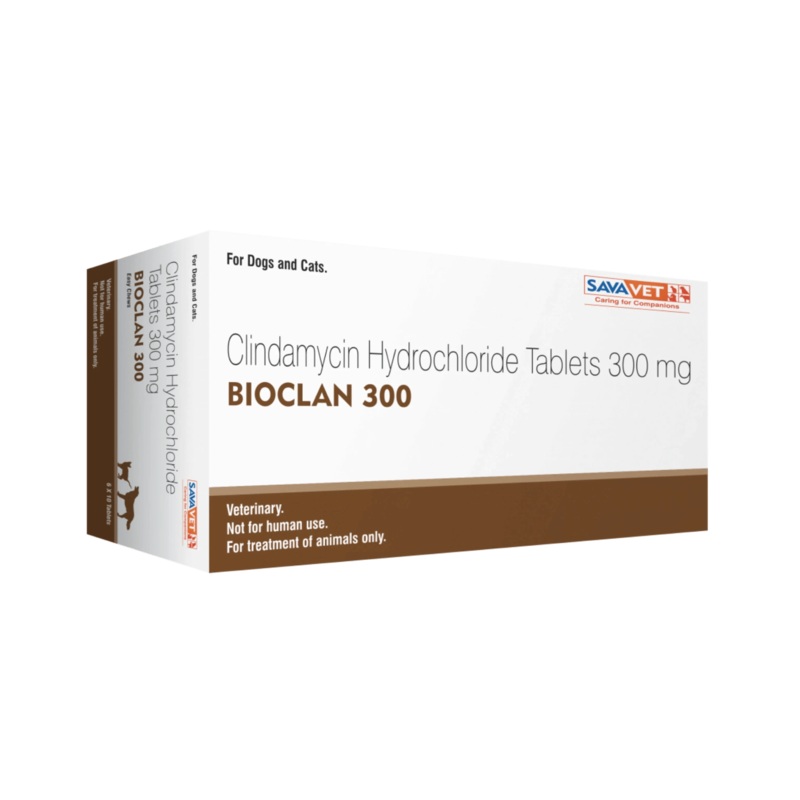 BIOCLAN 300 TABLET