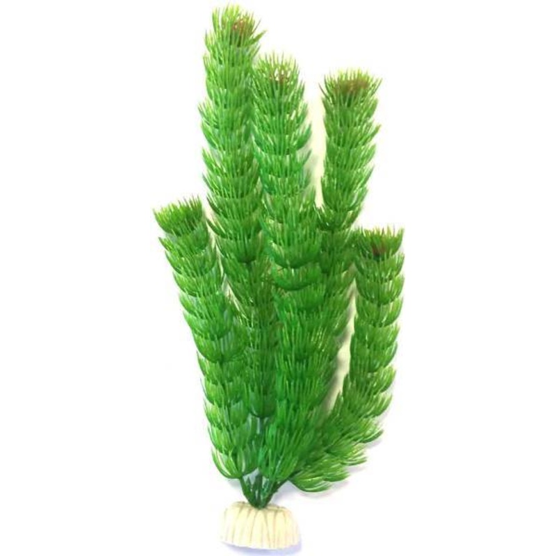 PLASTIC PLANT AP005