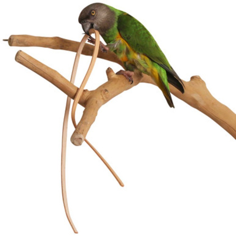 Leather Strips – Large – Parrot Toy Making Part – Pack of 8