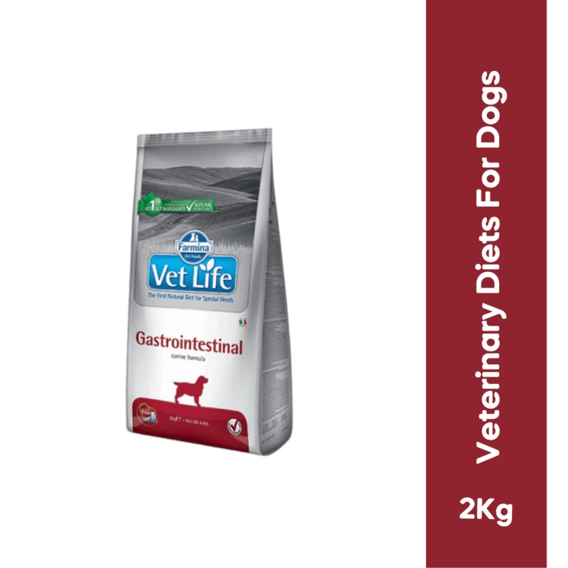 VETLIFE GASTRO DOG DRY FOOD (S)