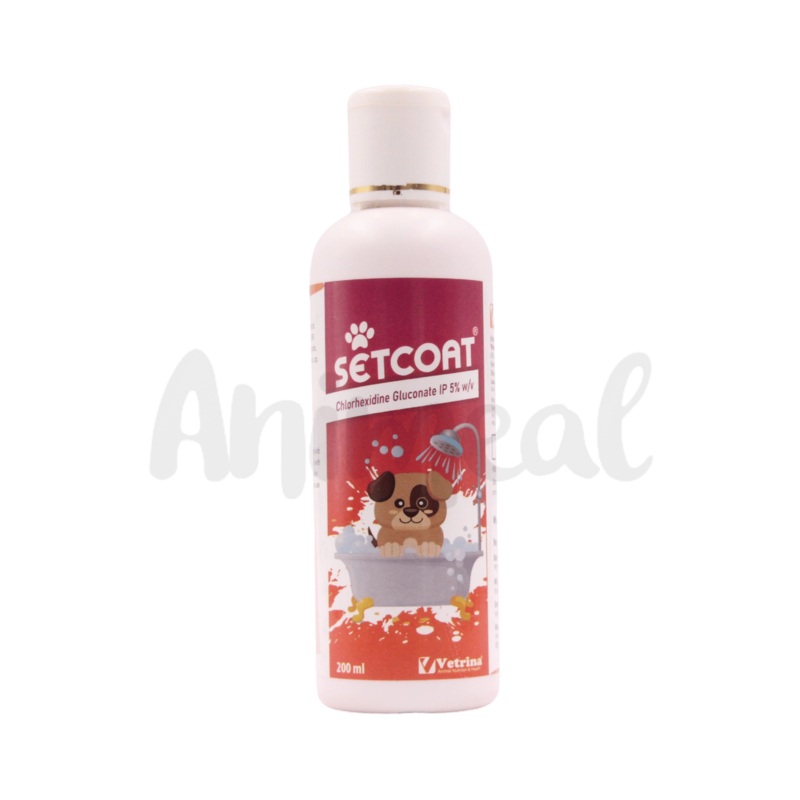 SETCOAT CHG 5% SHAMPOO