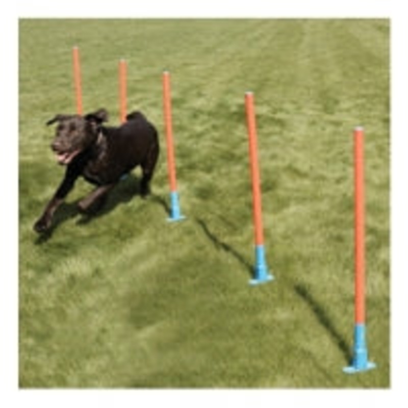 Agility Slalom