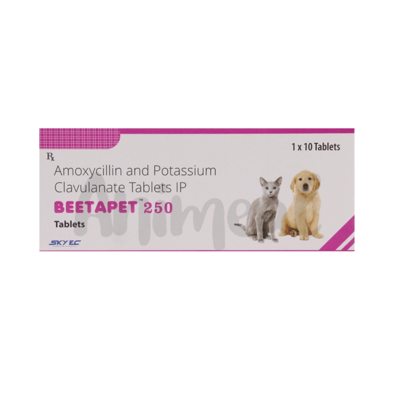 BEETAPET 250MG TABLET