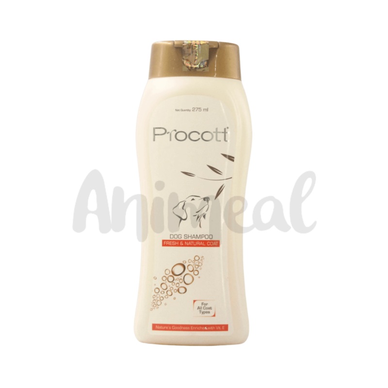PROCOTT SHAMPOO (S)