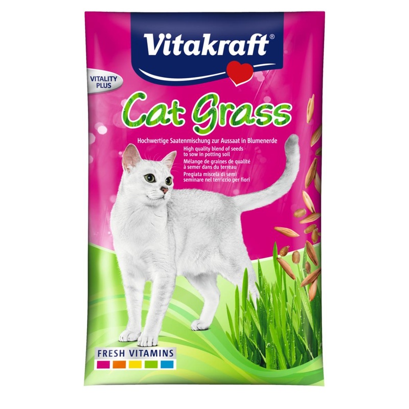 CAT GRASS REFILL 50G|50g