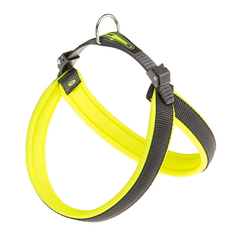 AGILA FLUO 4