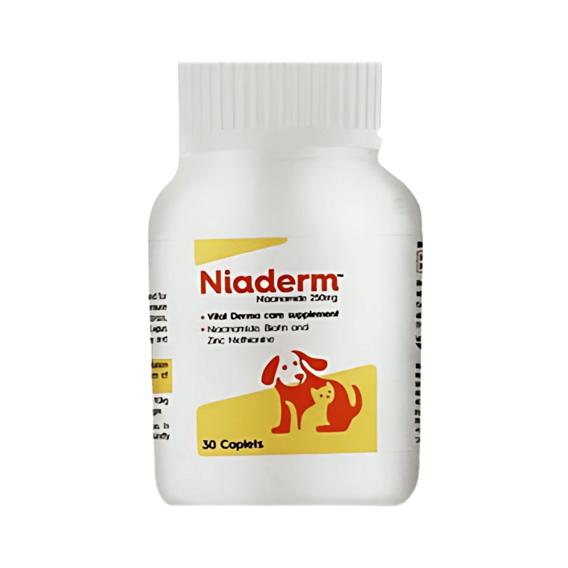NIADERM 250MG TABLET