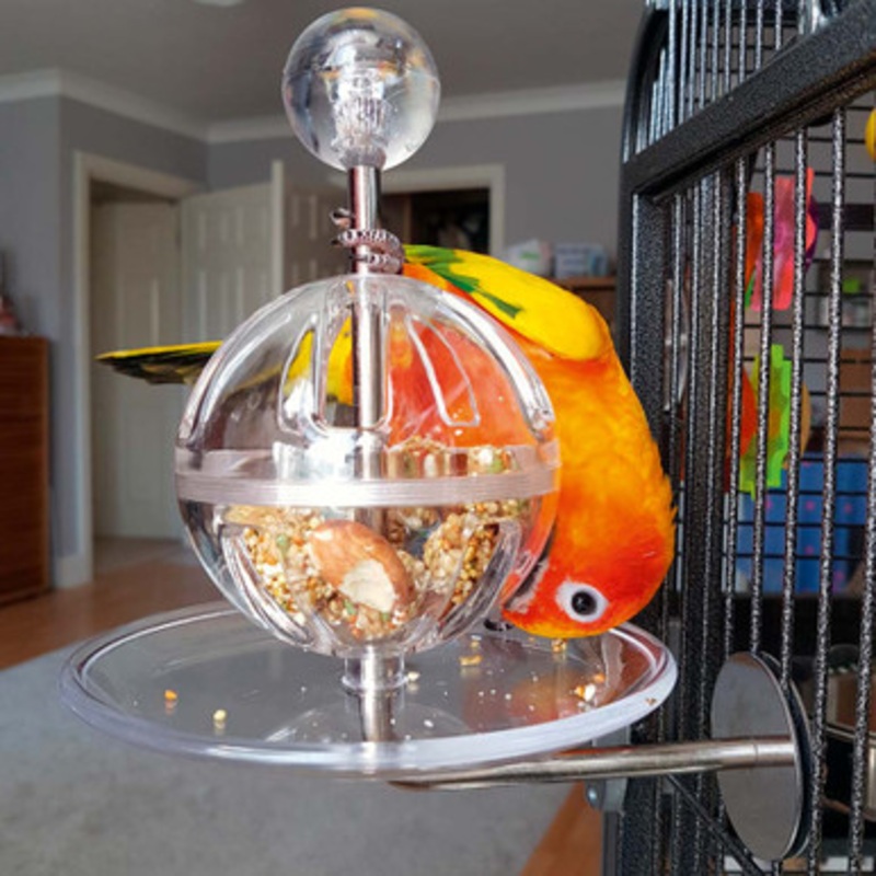 Creative Foraging Buffet Ball with Cage Mount Foraging Parrot Toy