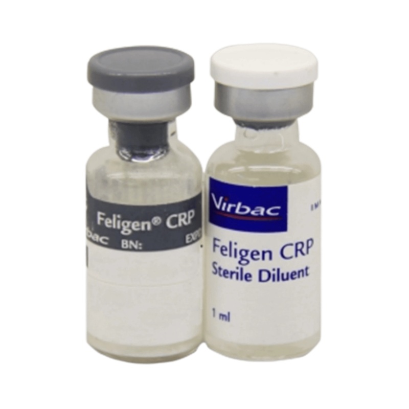 FELIGEN CRP VACCINE