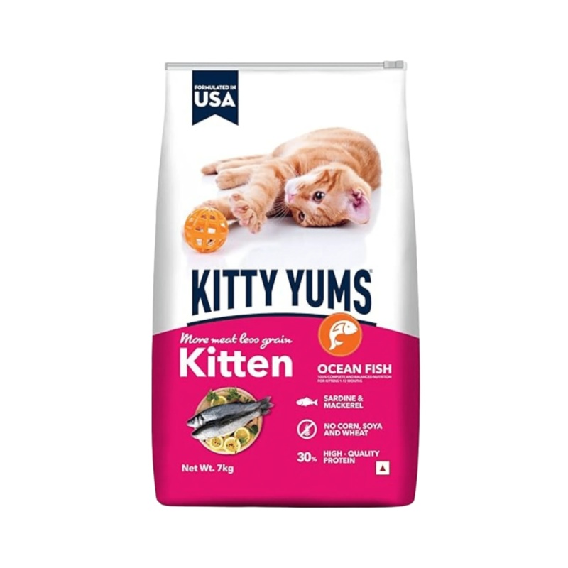 KITTY YUMS KITTEN (L)
