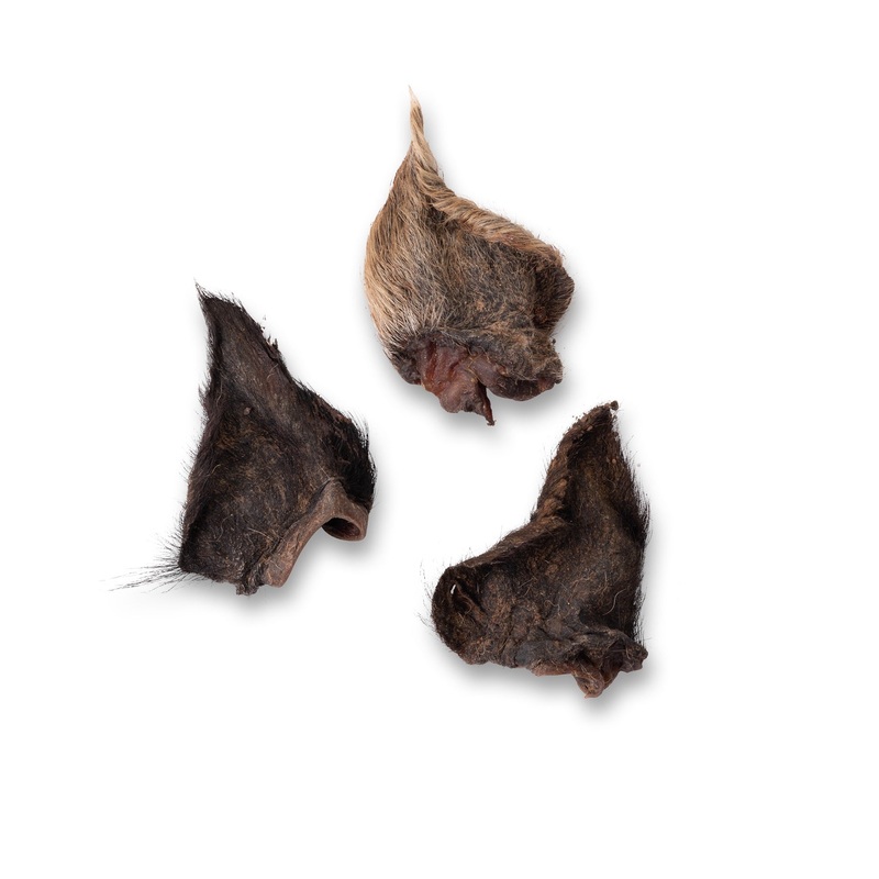 Wild Boar Ears with Hair On|Single