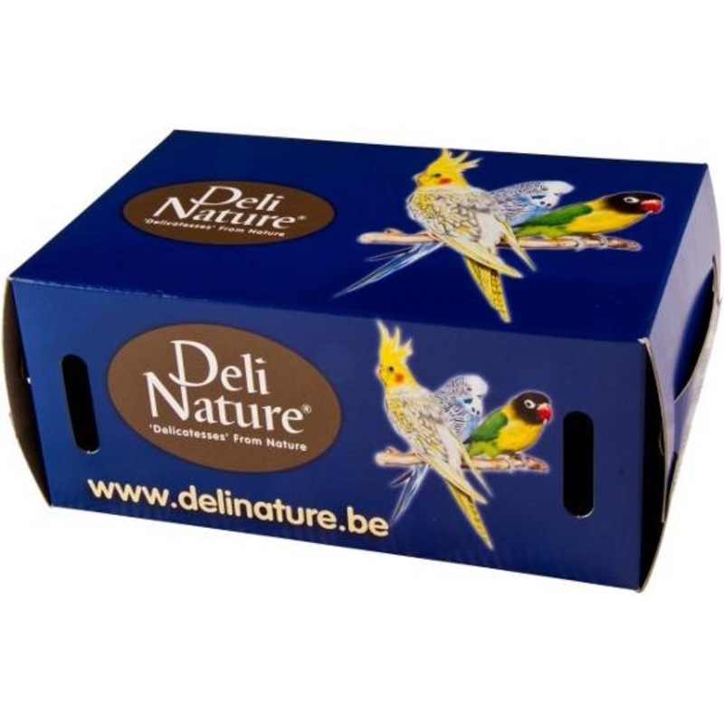 BIRD TRANSPORTATION BOX LARGE|Large