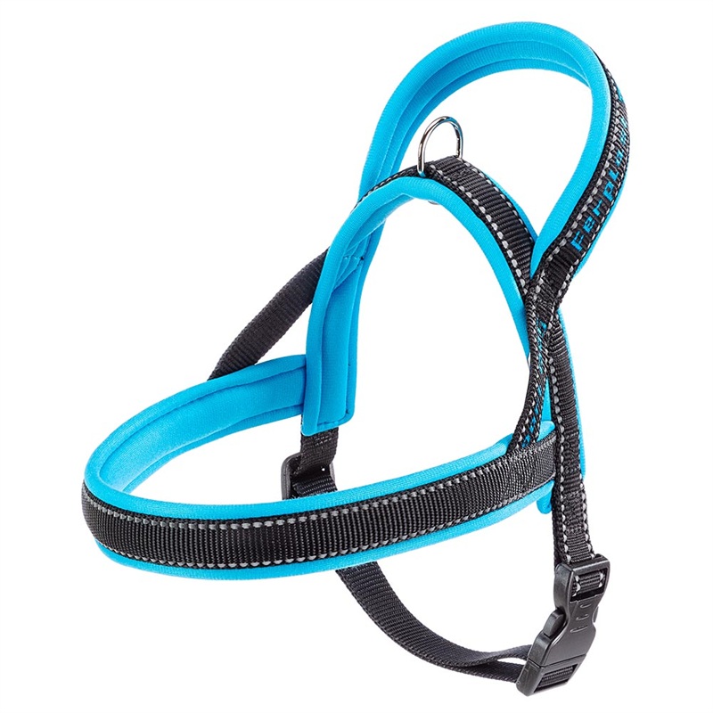 SPORT DOG P SMALL