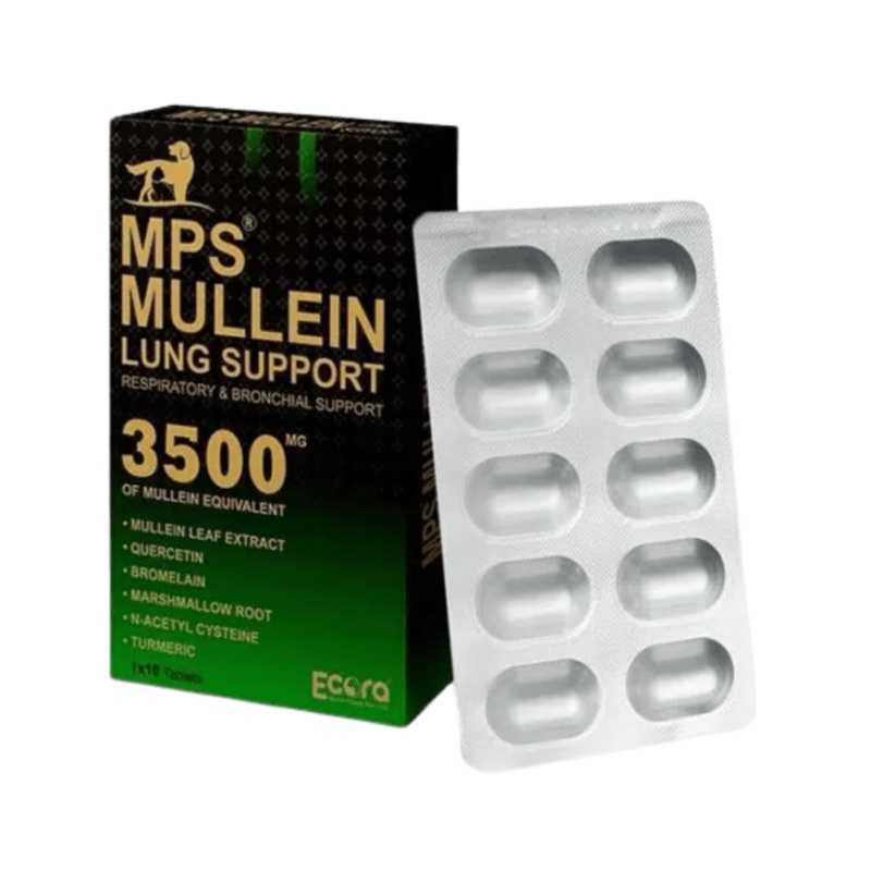 MPS MULLEIN LUNG SUPPORT