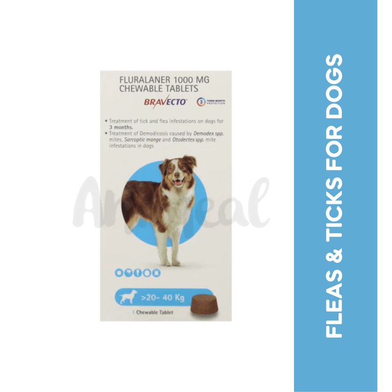 BRAVECTO (20-40KG) DOG TABLET