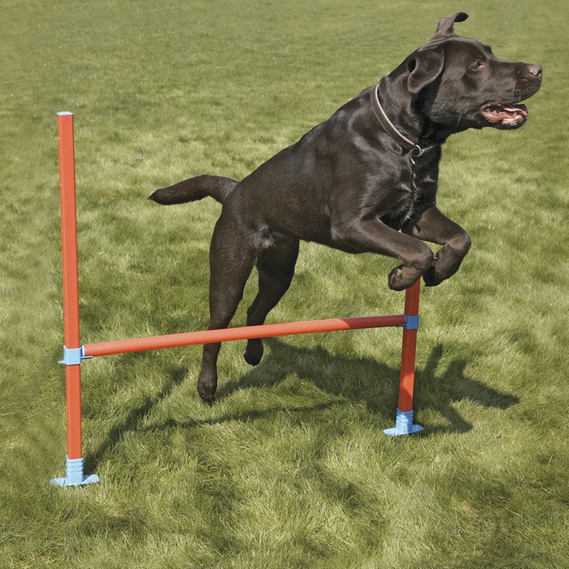 Agility Hurdle