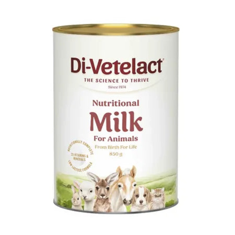 Divetelact Powder|375g|850g