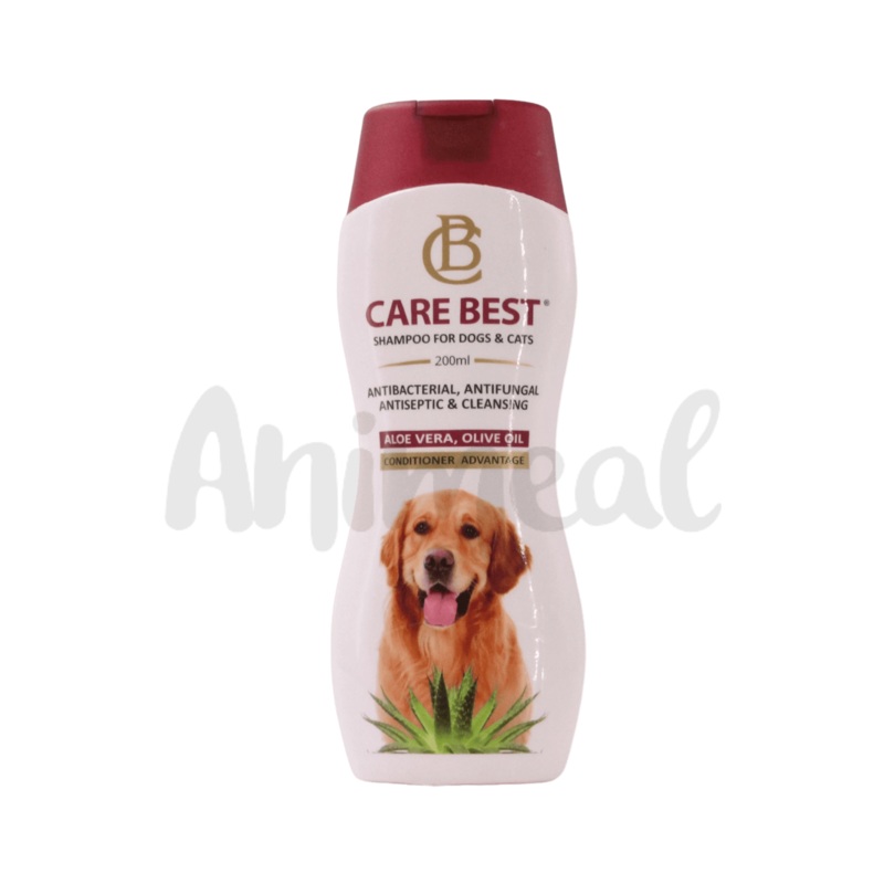 CARE BEST SHAMPOO