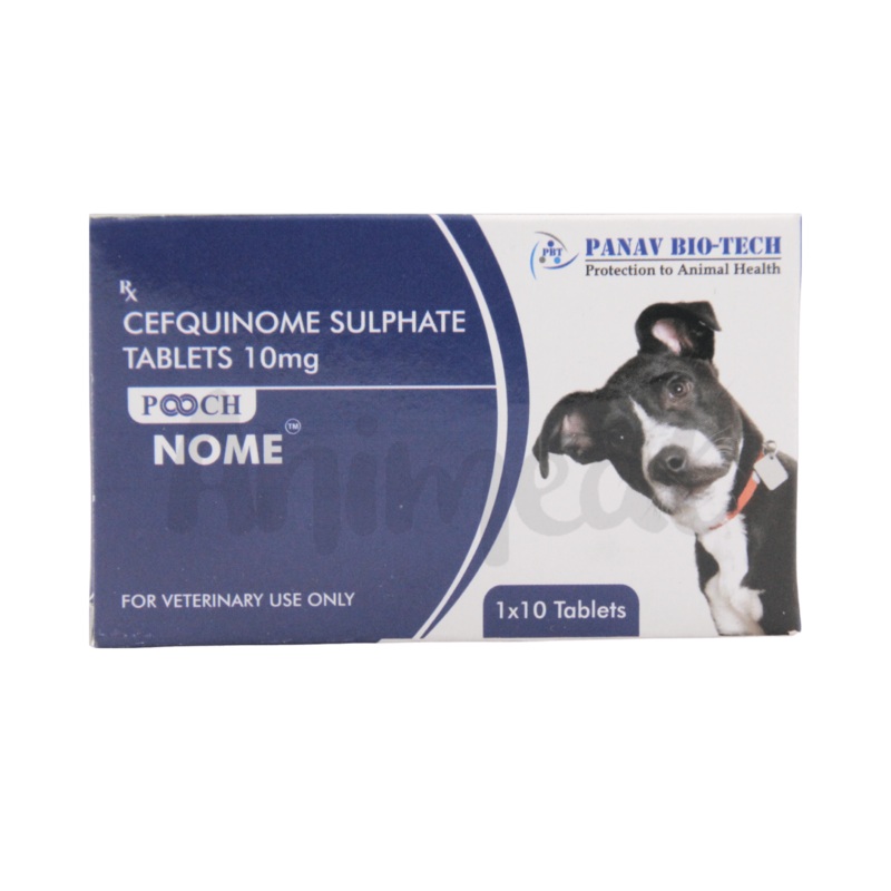 POOCH NOME TABLET