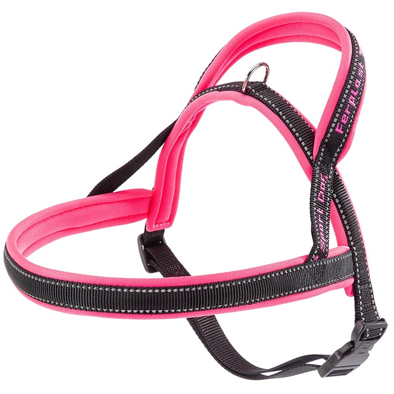 SPORT DOG P MEDIUM