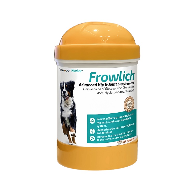 VV-FROWLICH