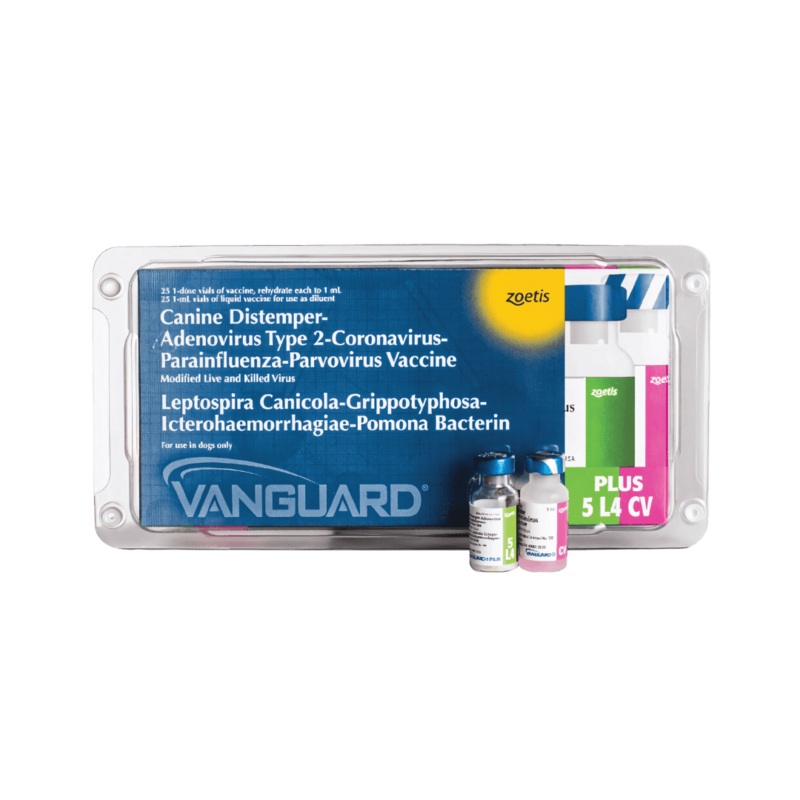 VANGUARD CV (CORONA)