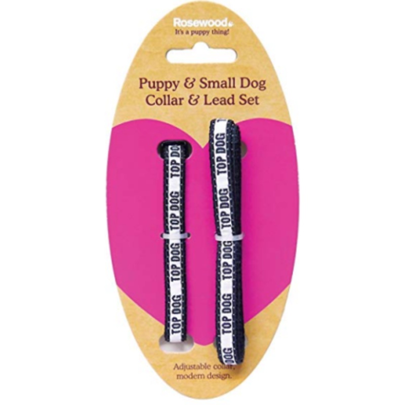 LEAD & COLLAR FOR PUPPY DOGS