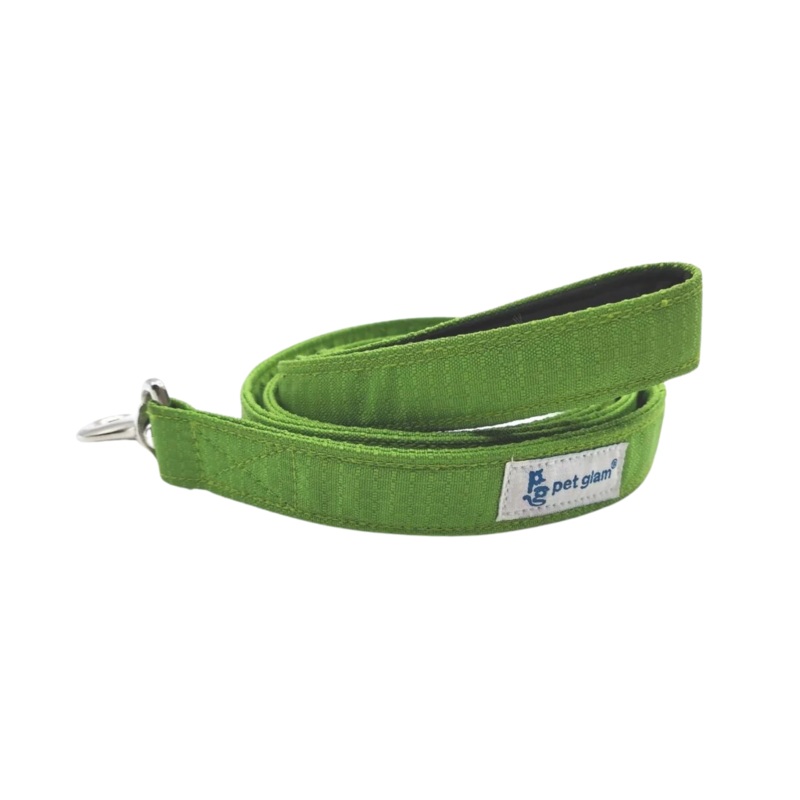 PG LEASH ALPINE L