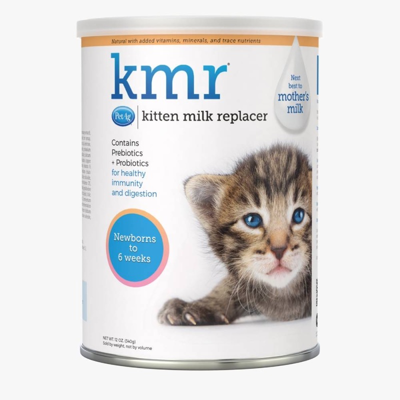 *DONATION TO KITTEN SANCTUARY SG* PetAg KMR Milk Powder for Cats 340g