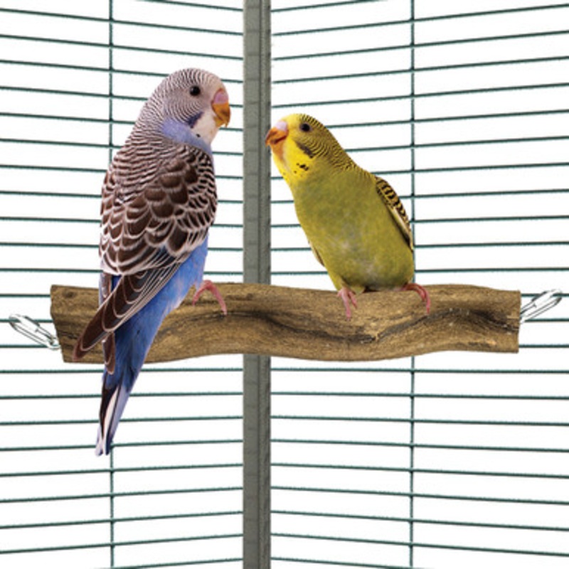 Wavy Wood Wiggle Corner Parrot Perch Small