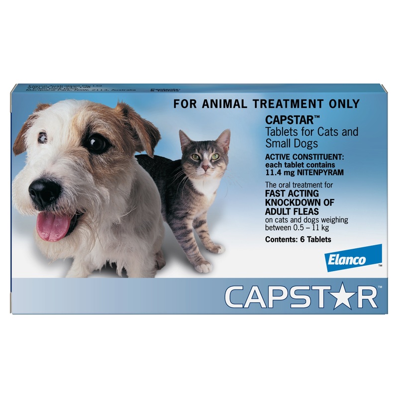 Capstar – Cats and Small Dogs 6 Pack