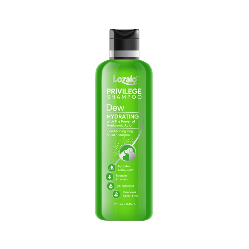 LOZALO PR DEW CONDITIONING