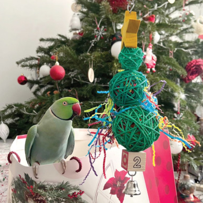Vine Ball Christmas Tree Parrot Toy