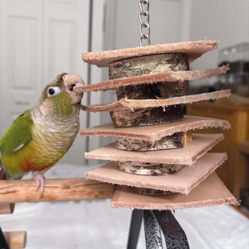Birch Wood Logs and Leather Stacker Parrot Toy